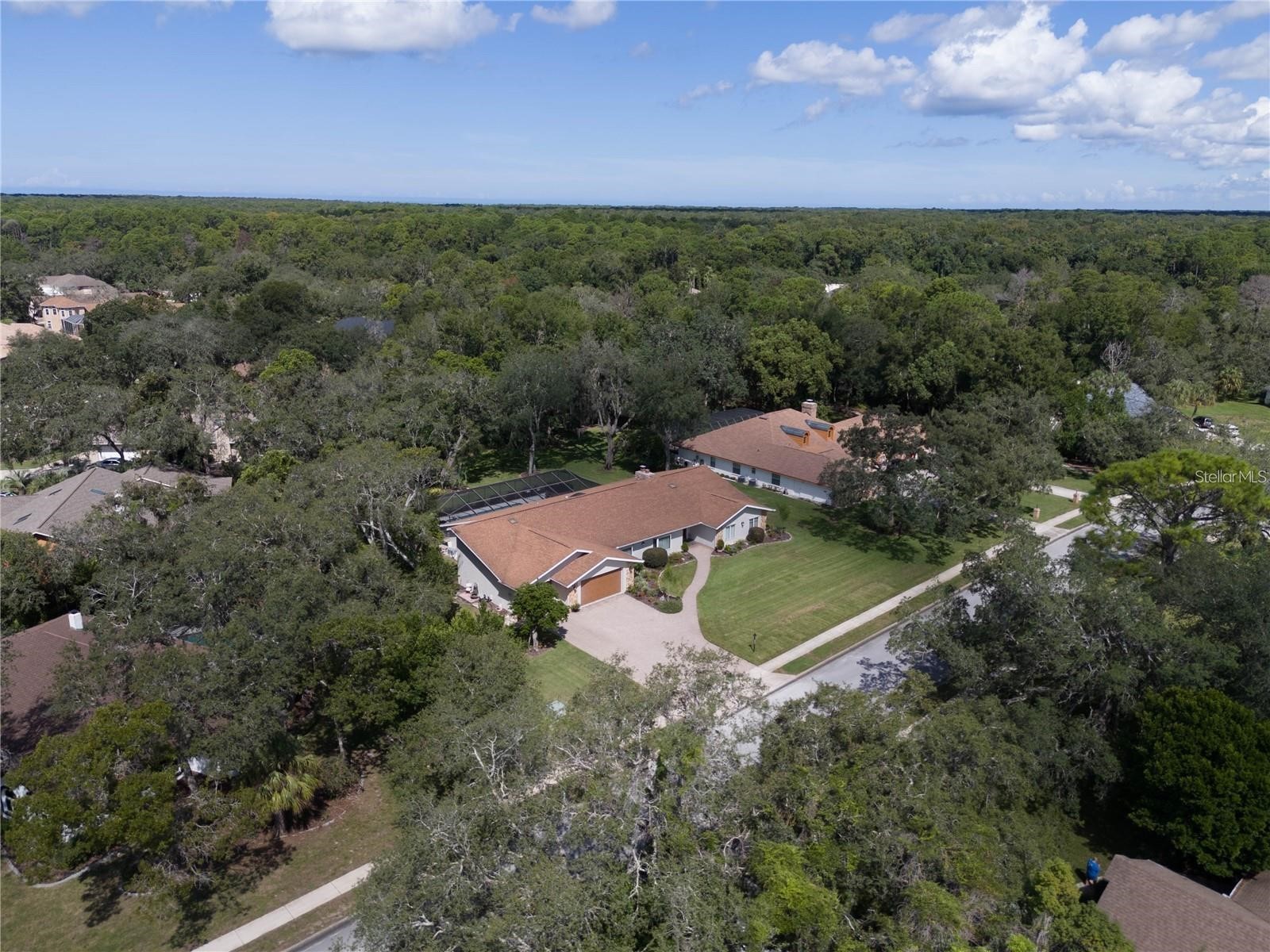 4603 Lake In The Woods Drive Spring Hill FL 34607 TB8464611 image27