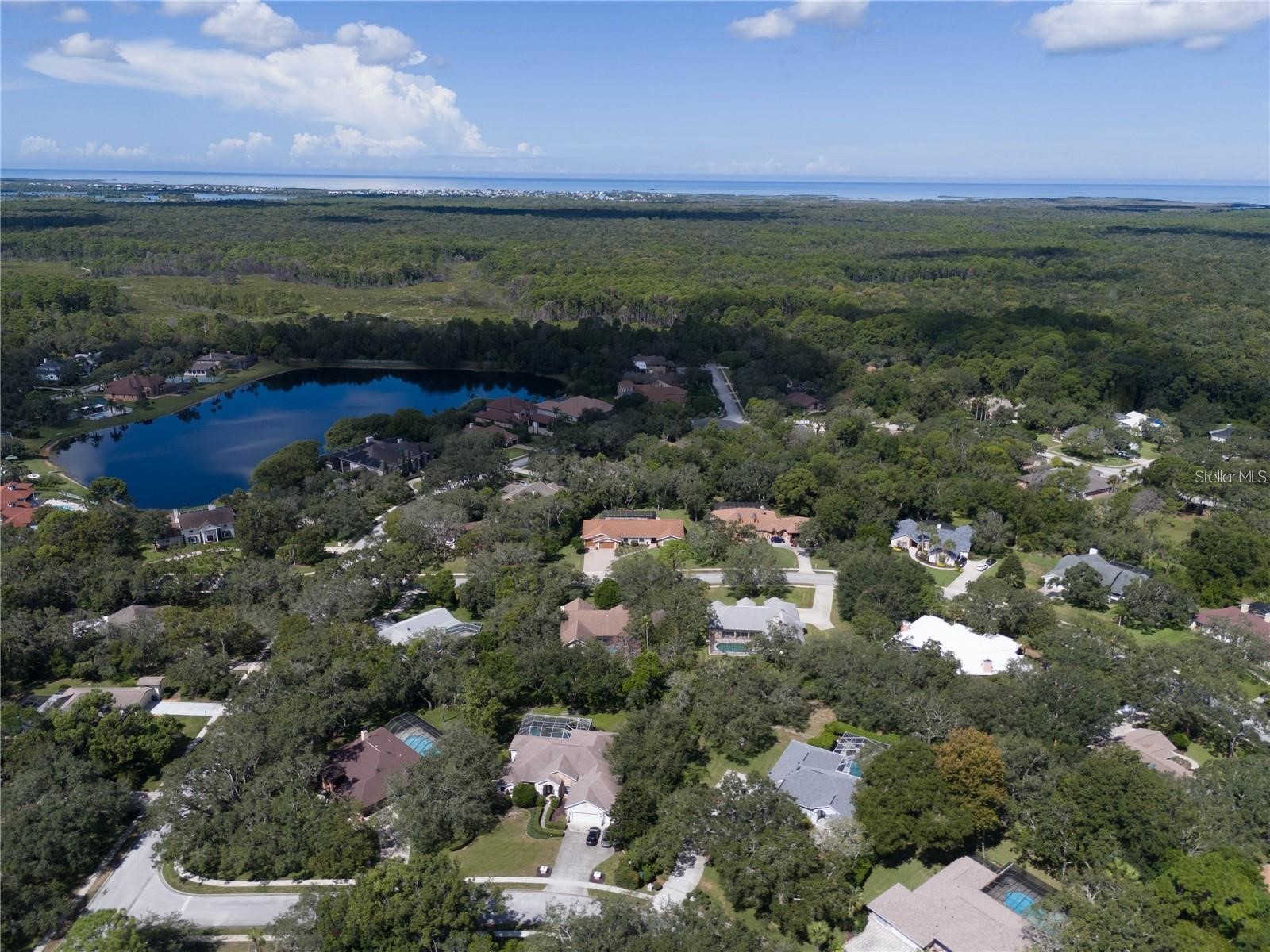 4603 Lake In The Woods Drive Spring Hill FL 34607 TB8464611 image28