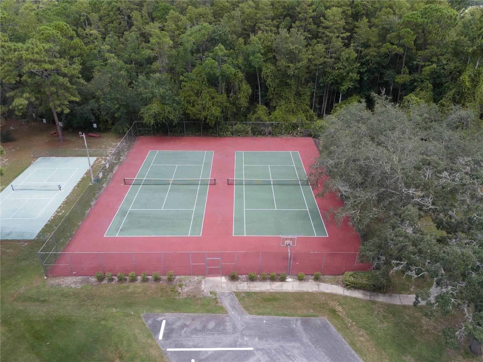 4603 Lake In The Woods Drive Spring Hill FL 34607 TB8464611 image29