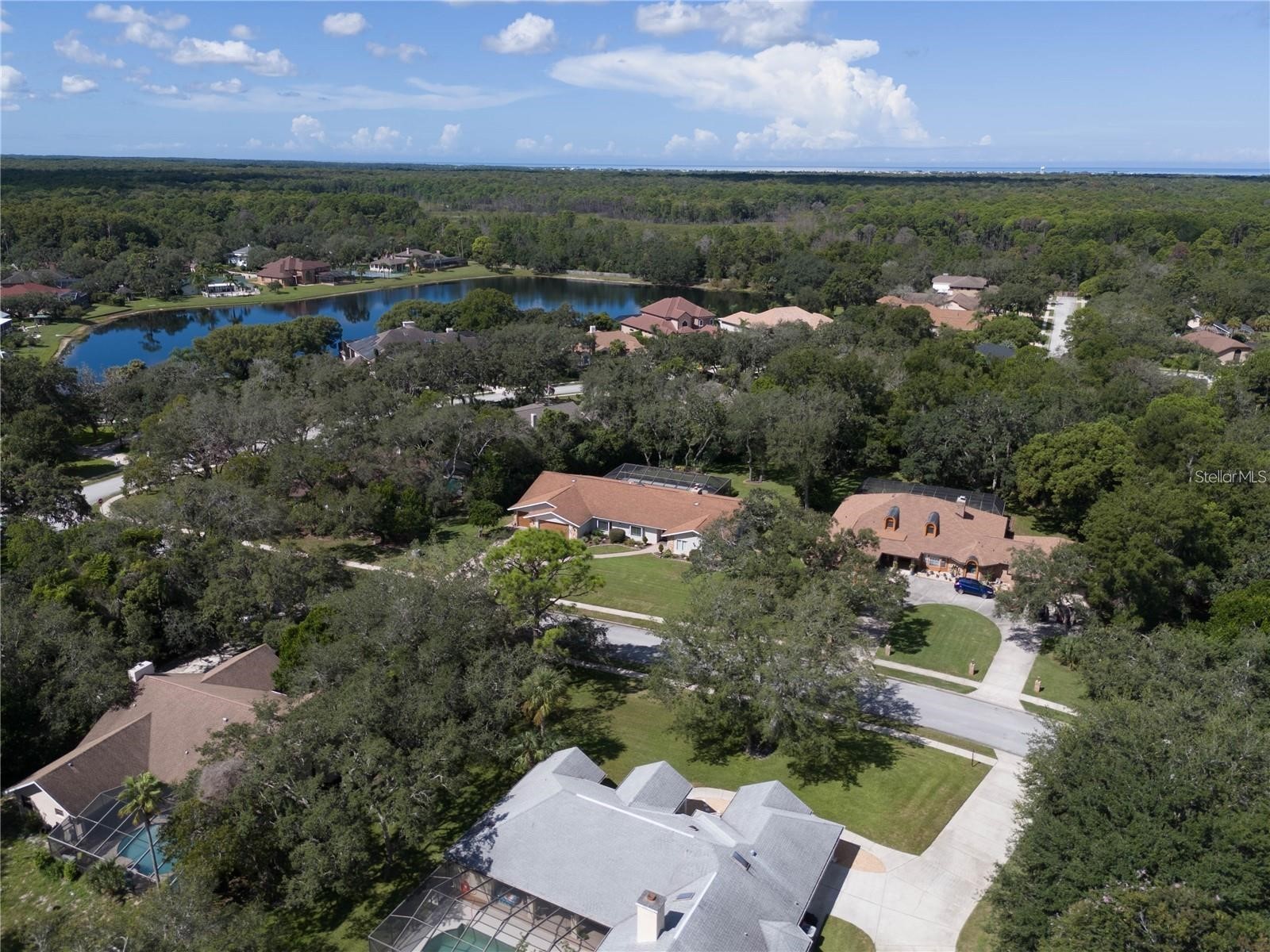 4603 Lake In The Woods Drive Spring Hill FL 34607 TB8464611 image46