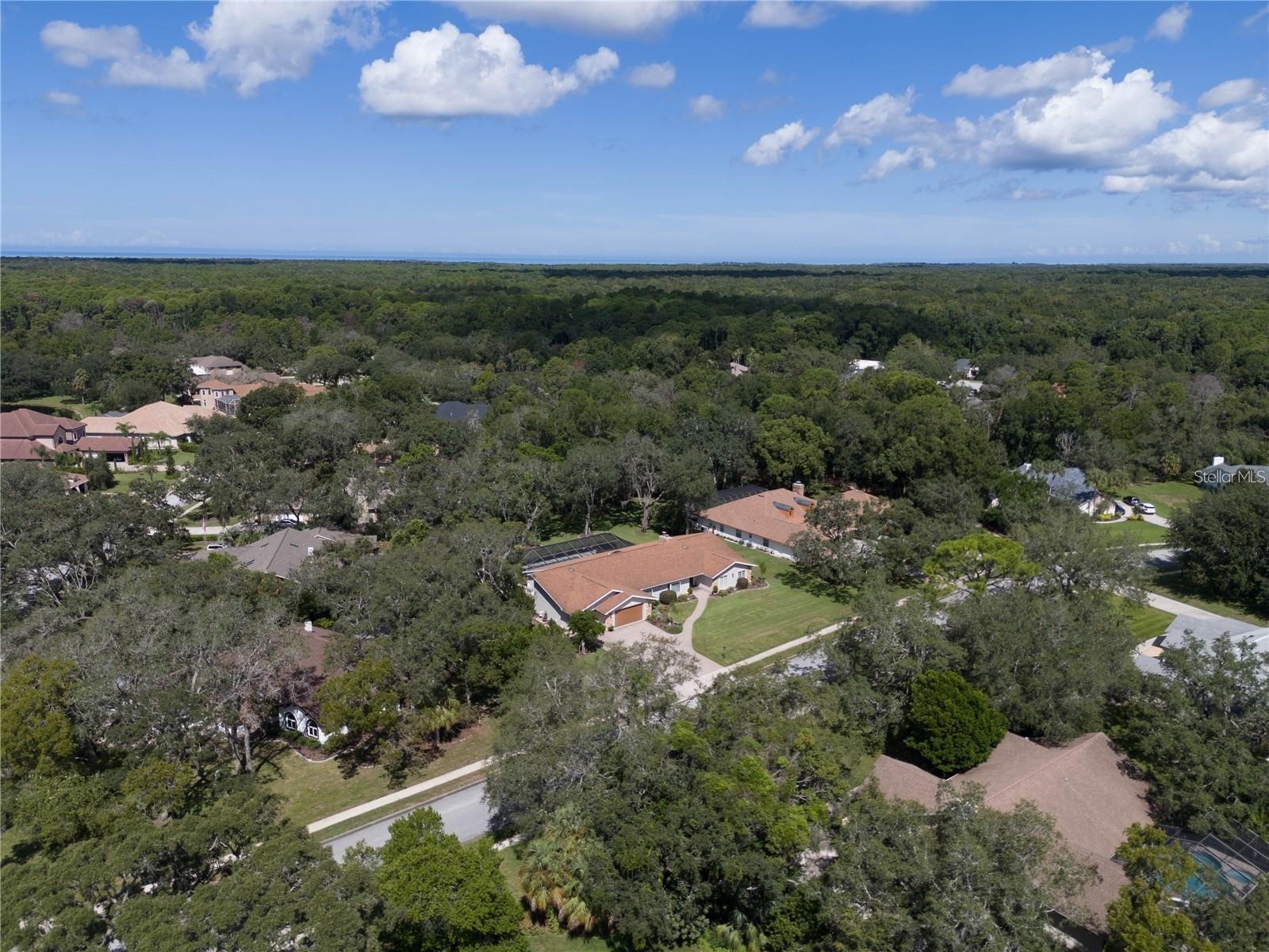 4603 Lake In The Woods Drive Spring Hill FL 34607 TB8464611 image47