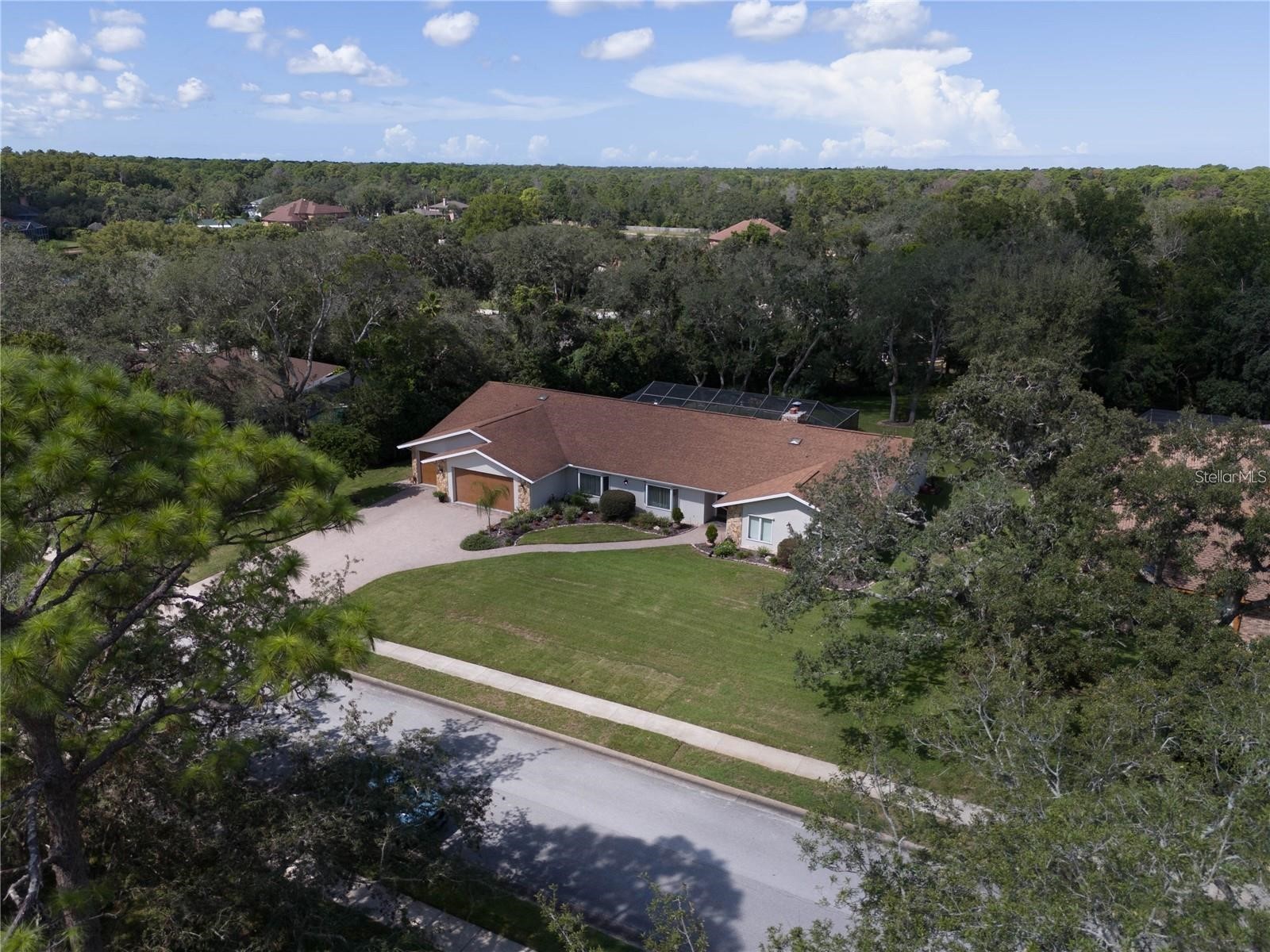 4603 Lake In The Woods Drive Spring Hill FL 34607 TB8464611 image51