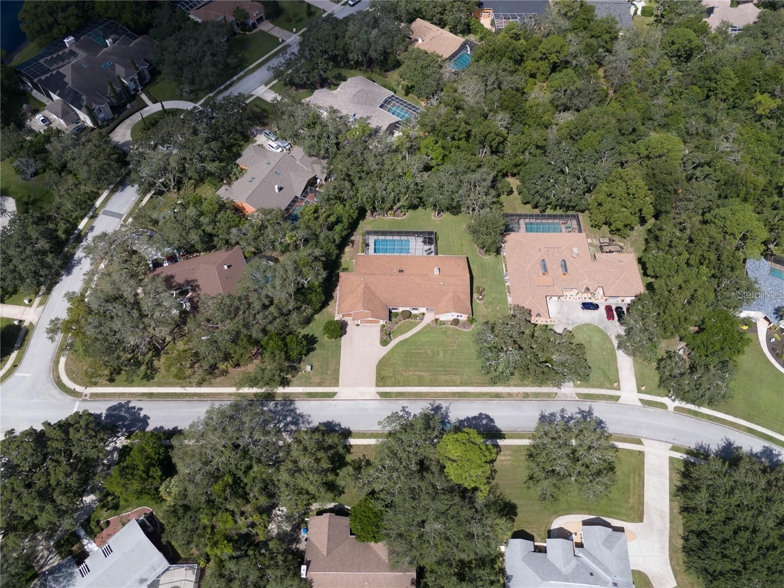 4603 Lake In The Woods Drive Spring Hill FL 34607 TB8464611 image56