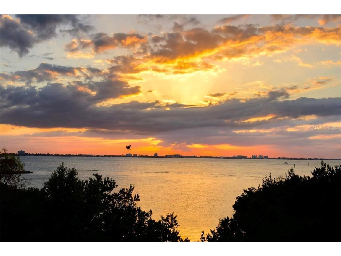 4603 Osprey Drive S Saint Petersburg FL 33711 - BOCA CIEGA TB8418745 image16