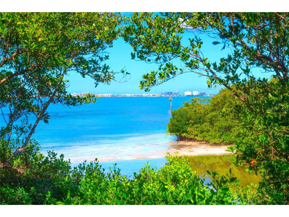 4603 Osprey Drive S Saint Petersburg FL 33711 - BOCA CIEGA TB8418745 image3