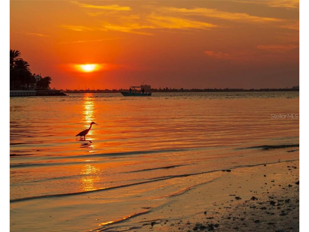 4603 Osprey Drive S Saint Petersburg FL 33711 - BOCA CIEGA TB8418745 image33