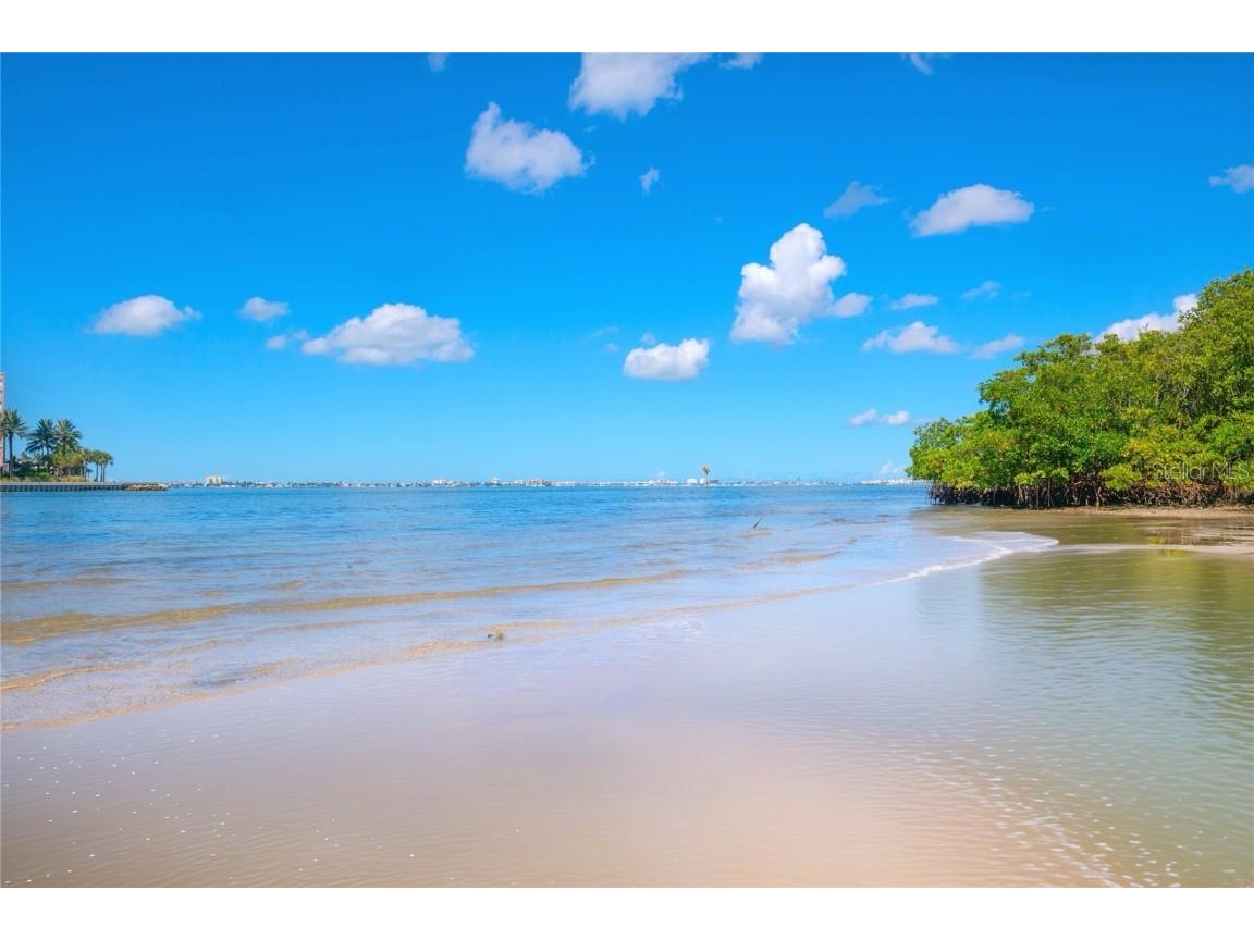 4603 Osprey Drive S Saint Petersburg FL 33711 - BOCA CIEGA TB8418745 image4