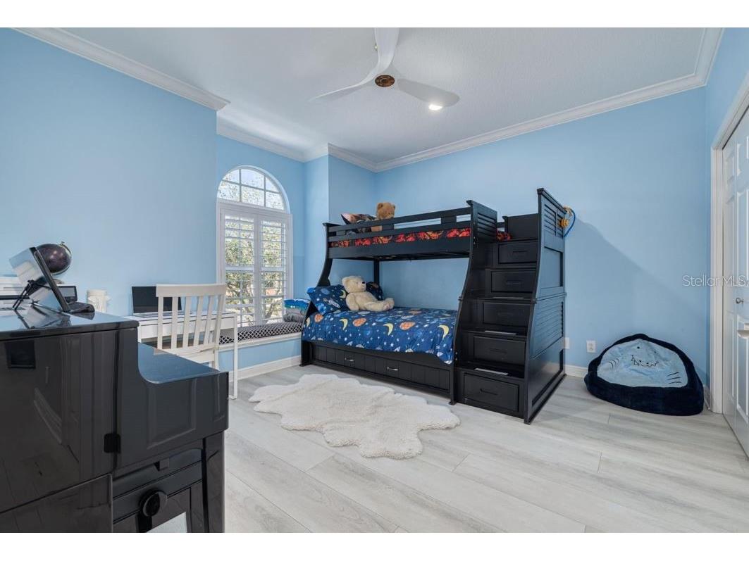 4603 Overlook Drive NE Saint Petersburg FL 33703 TB8438957 image12