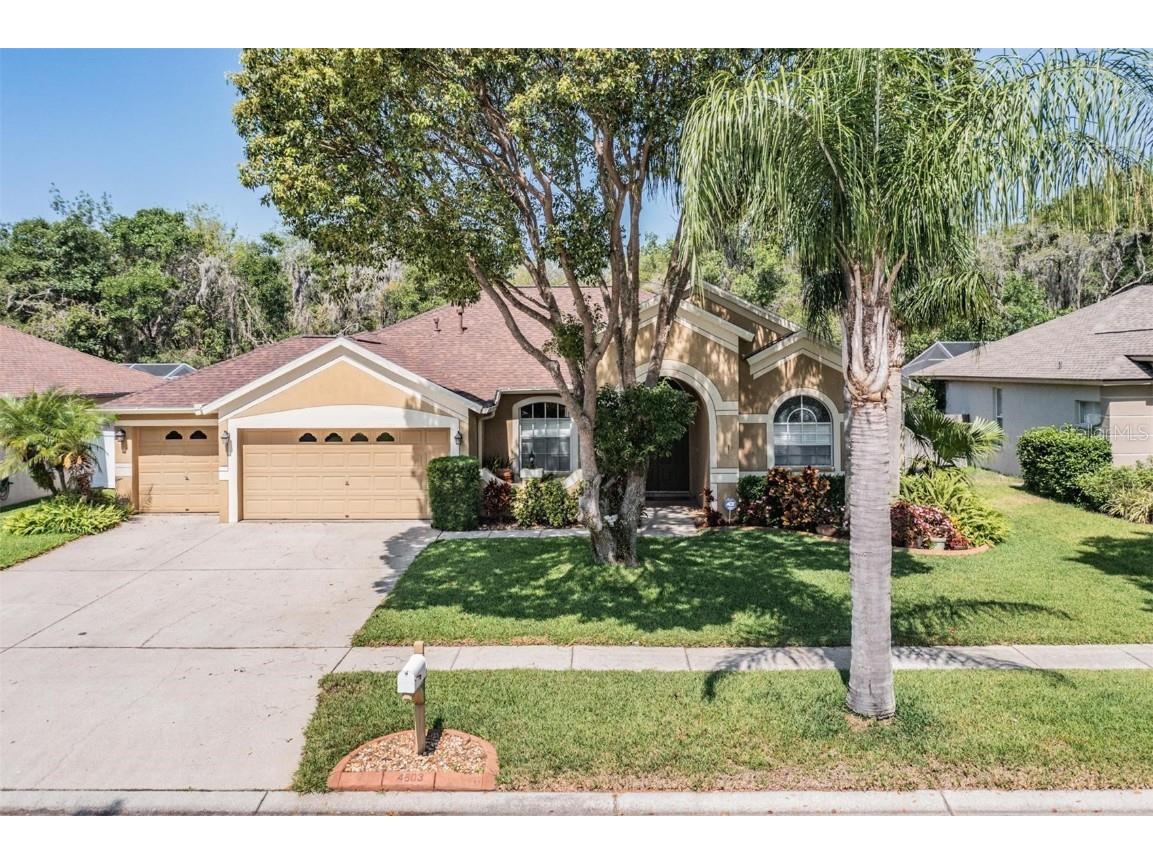 4603 River Overlook Drive Valrico FL 33596 T3447961 image1