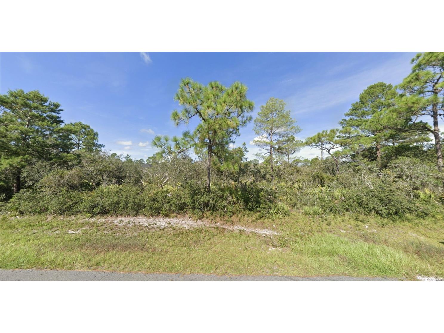 4603 San Lorenzo Drive Sebring FL 33872 C7479581 image1