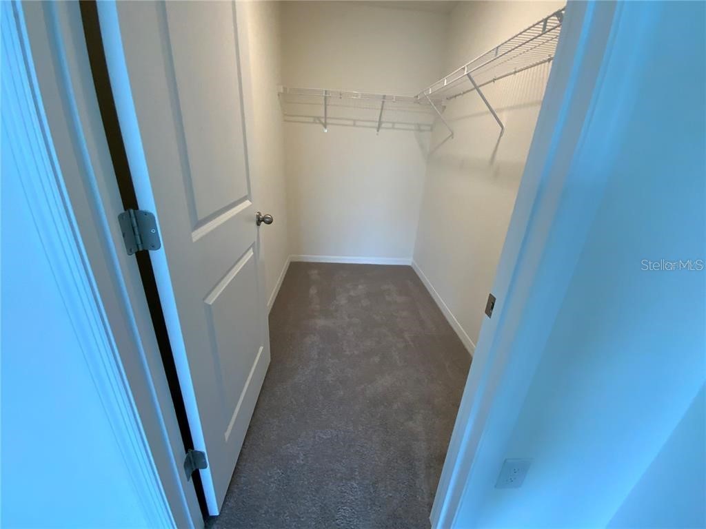 4603 Sand Dollar Way Zephyrhills FL 33541 O6422320 image13
