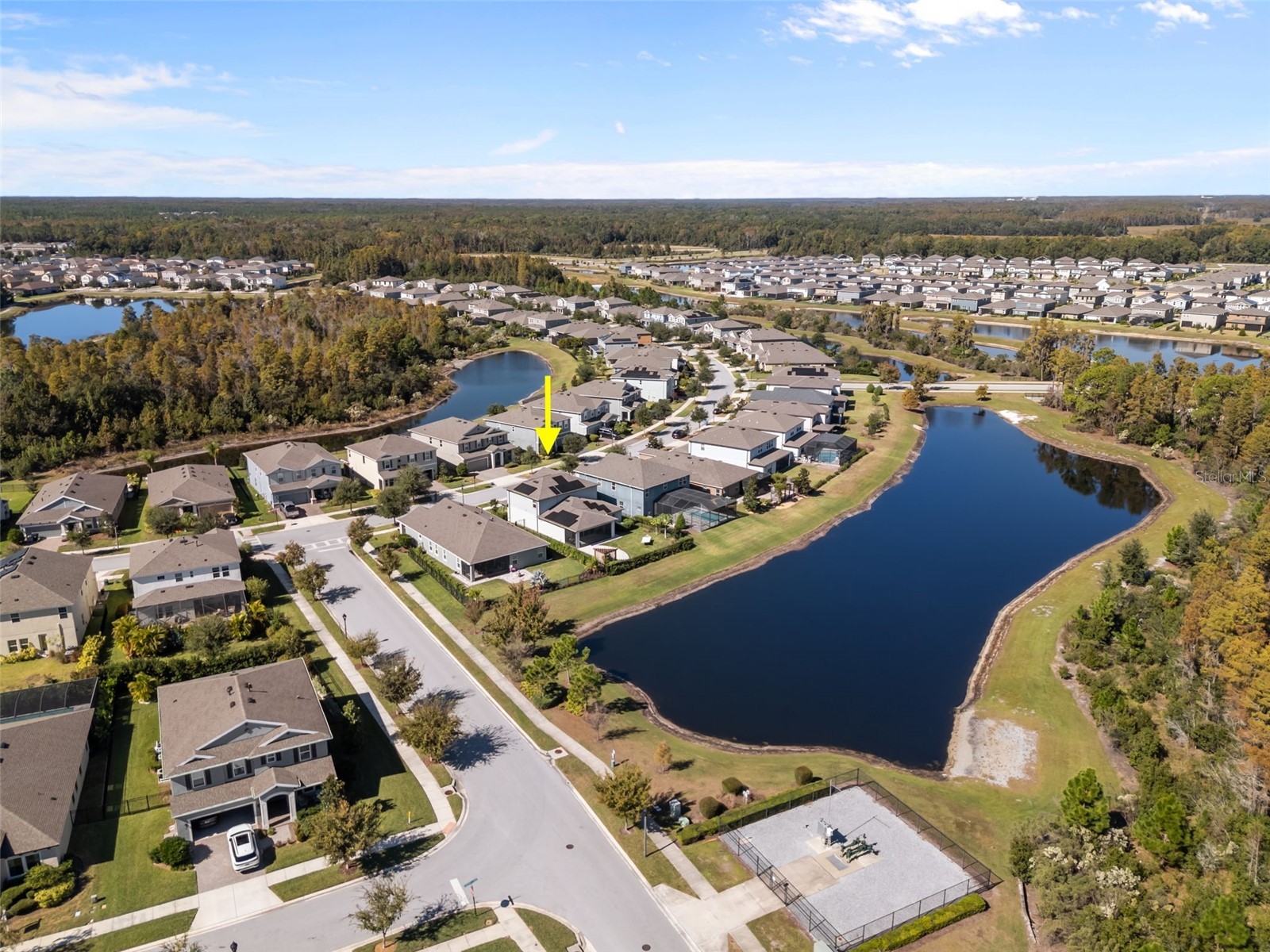 4604 Ballantrae Boulevard Land O Lakes FL 34638 TB8431097 image43