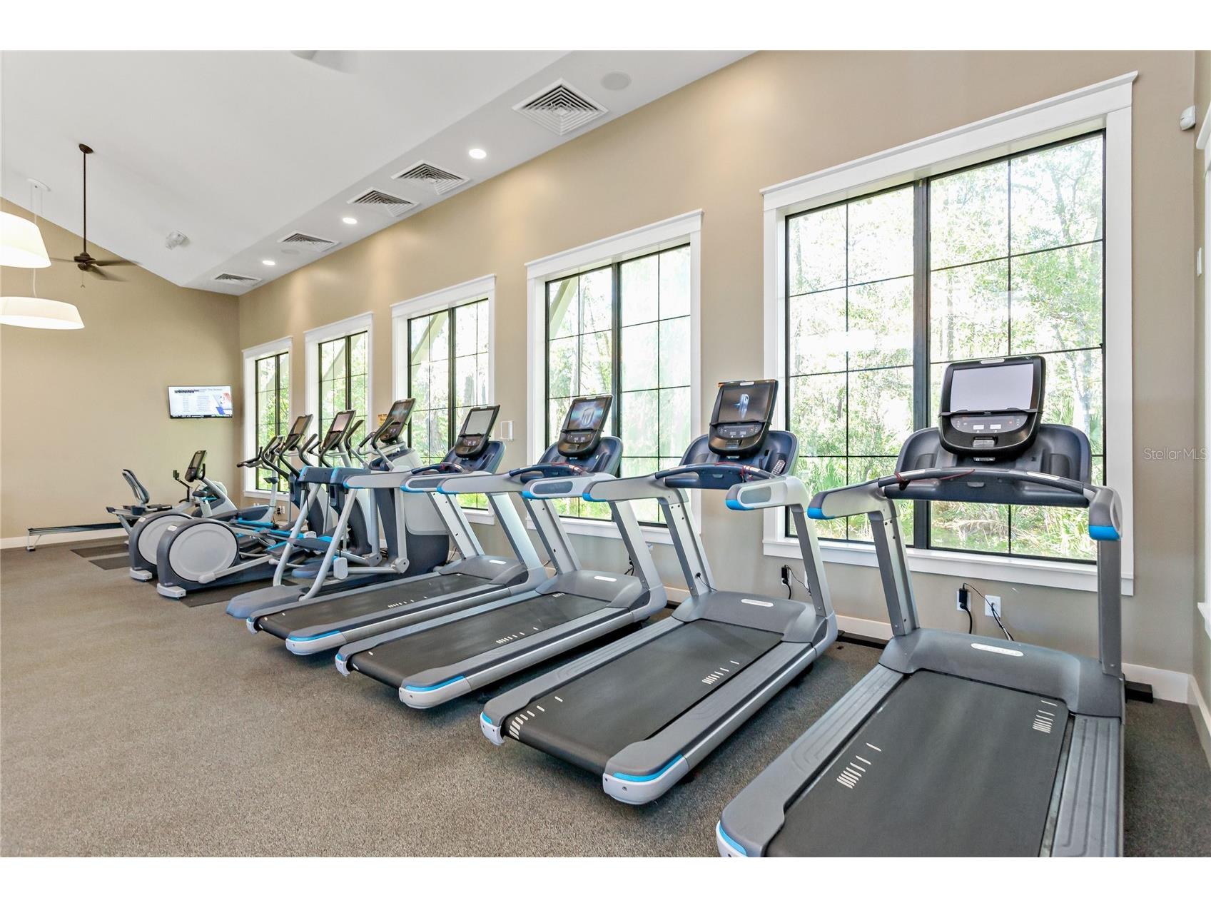 4604 Ballantrae Boulevard Land O Lakes FL 34638 TB8431097 image55