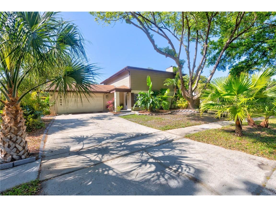4604 Buckeye Road Tampa FL 33624 T3453054 image1
