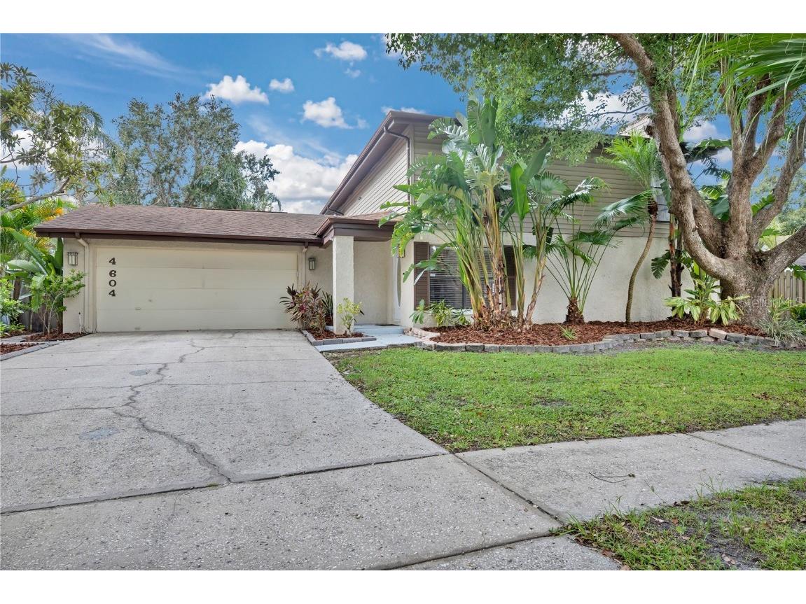 4604 Buckeye Road Tampa FL 33624 TB8410623 image1