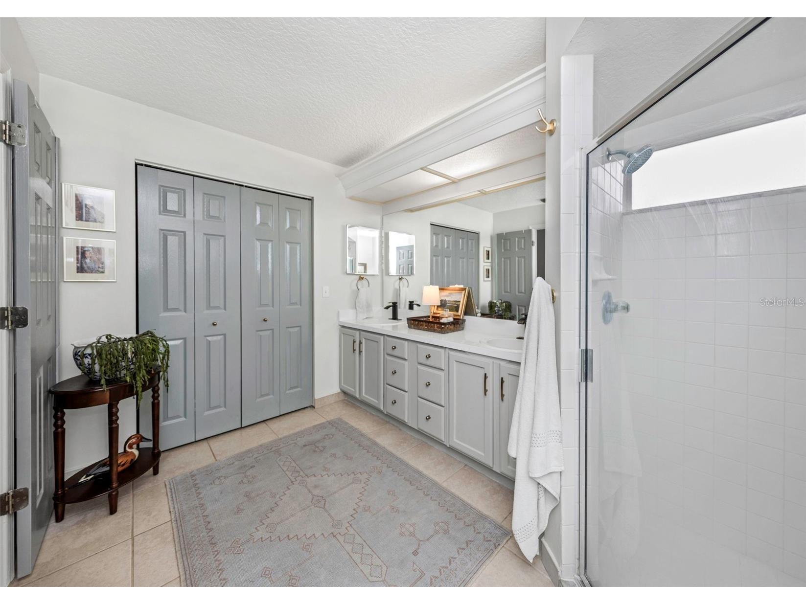 4604 Purple Tiger Court Lutz FL 33558 TB8505593 image20