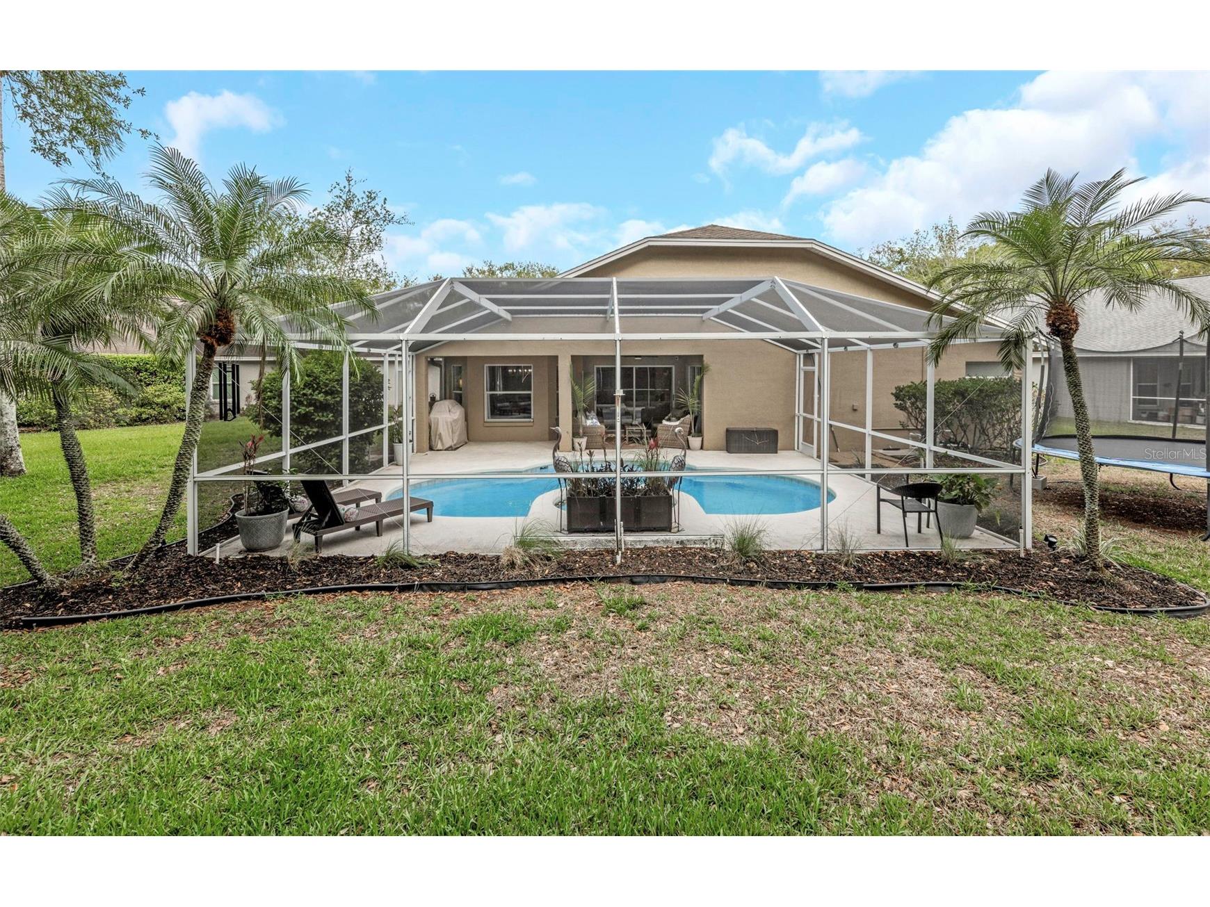 4604 Purple Tiger Court Lutz FL 33558 TB8505593 image24