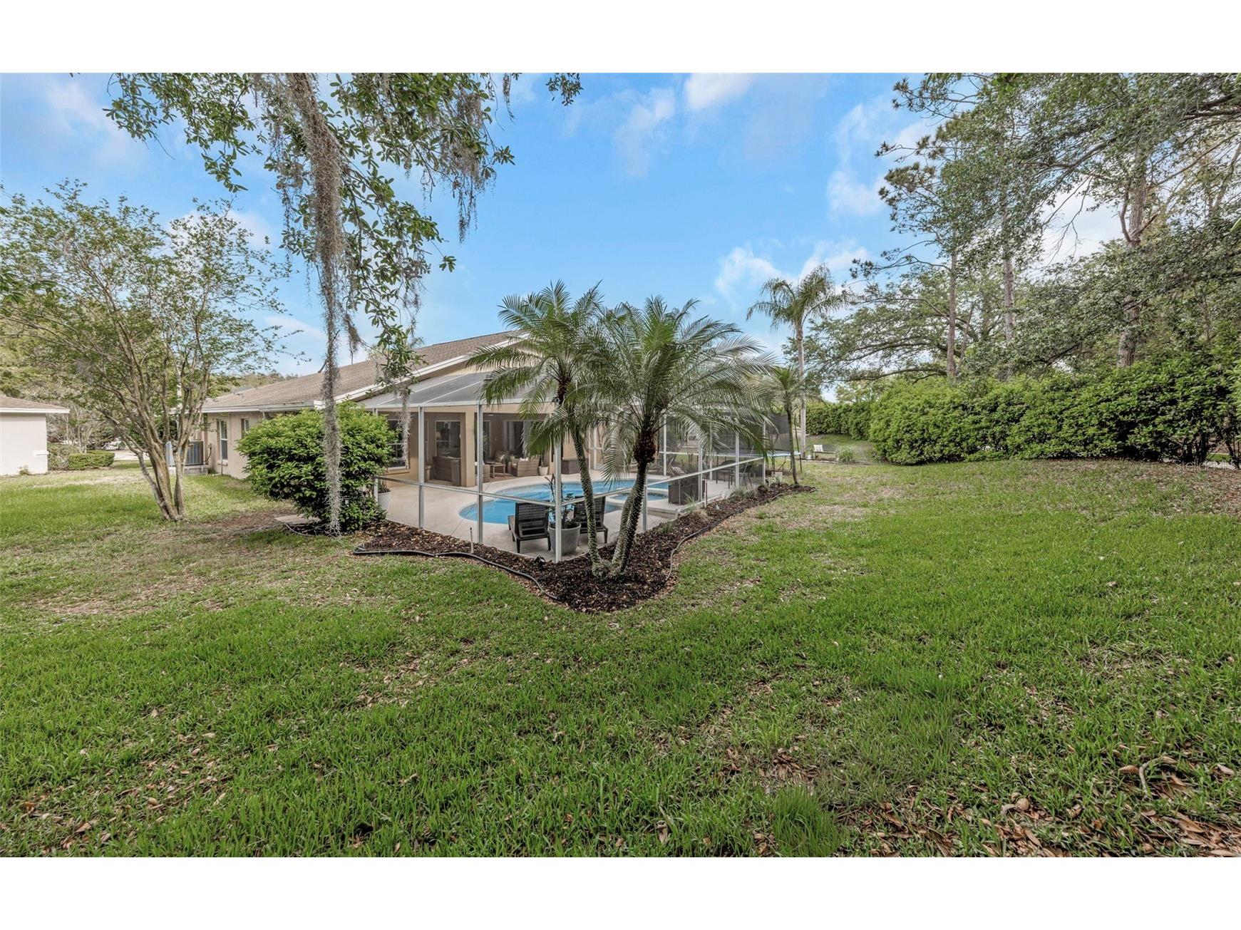 4604 Purple Tiger Court Lutz FL 33558 TB8505593 image25