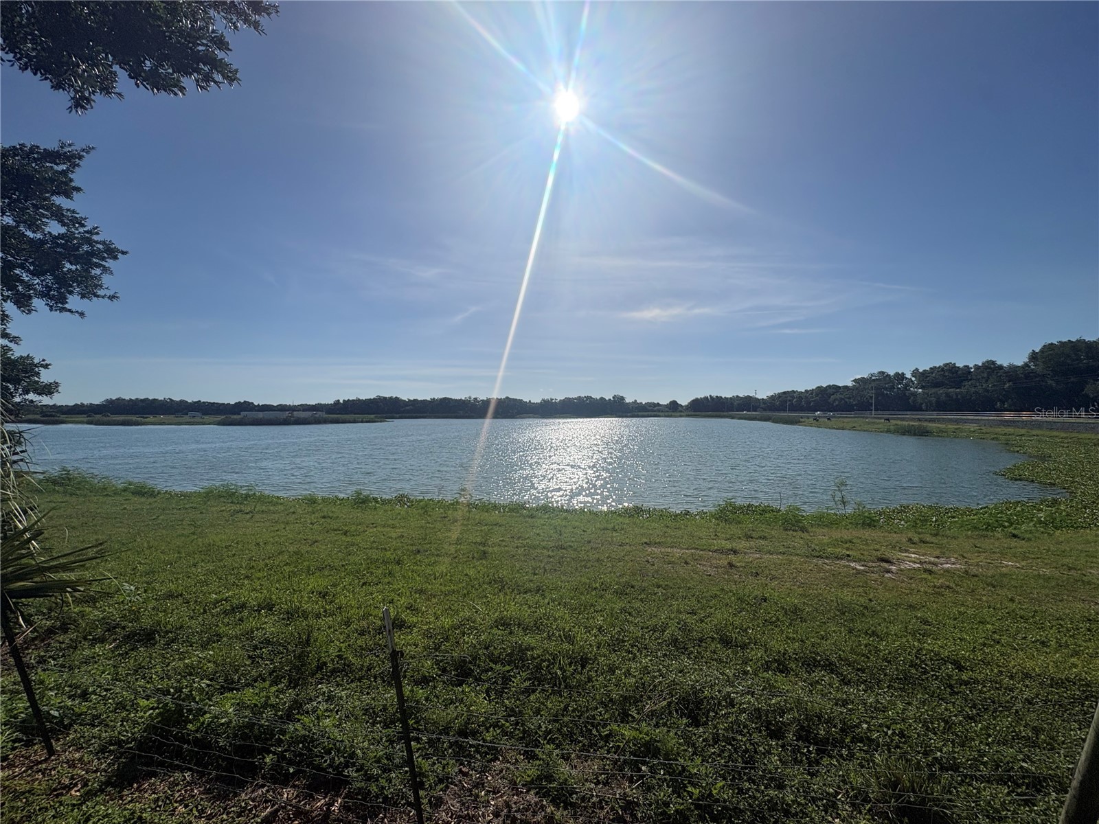 4605 Barnstead Drive Riverview FL 33578 TB8511097 image12