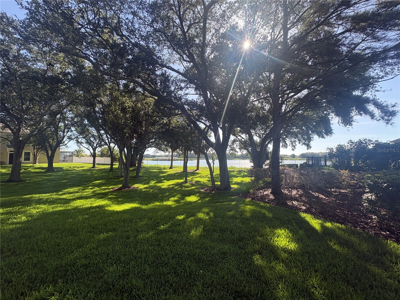 4605 Barnstead Drive Riverview FL 33578 TB8511097 image13