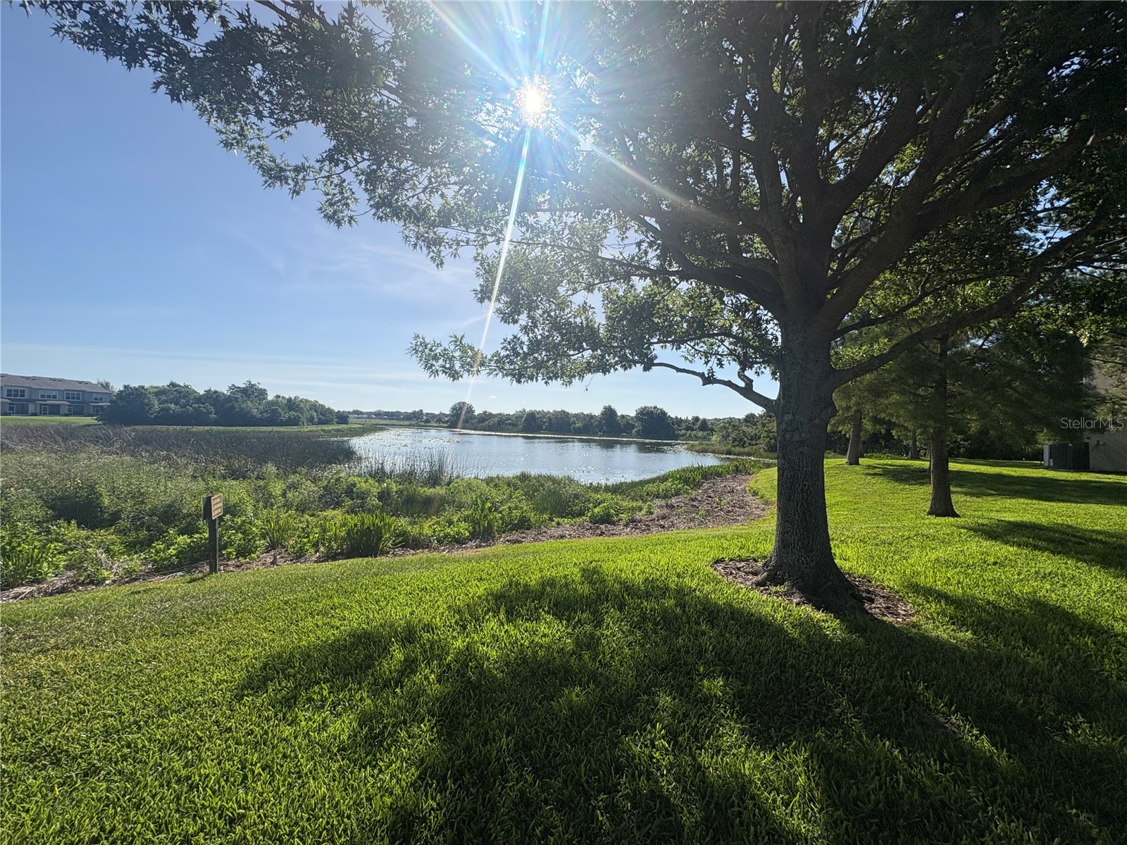 4605 Barnstead Drive Riverview FL 33578 TB8511097 image14