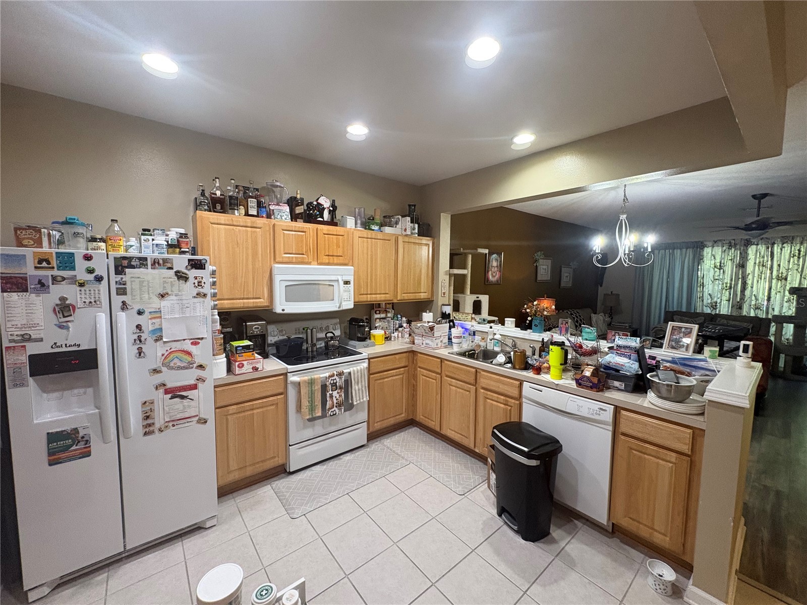 4605 Barnstead Drive Riverview FL 33578 TB8511097 image6