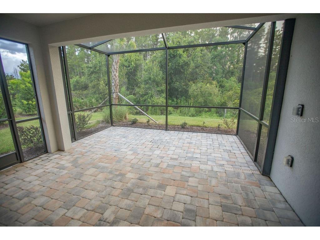 4605 Rosatti Road Wesley Chapel FL 33543 TB8496768 image24