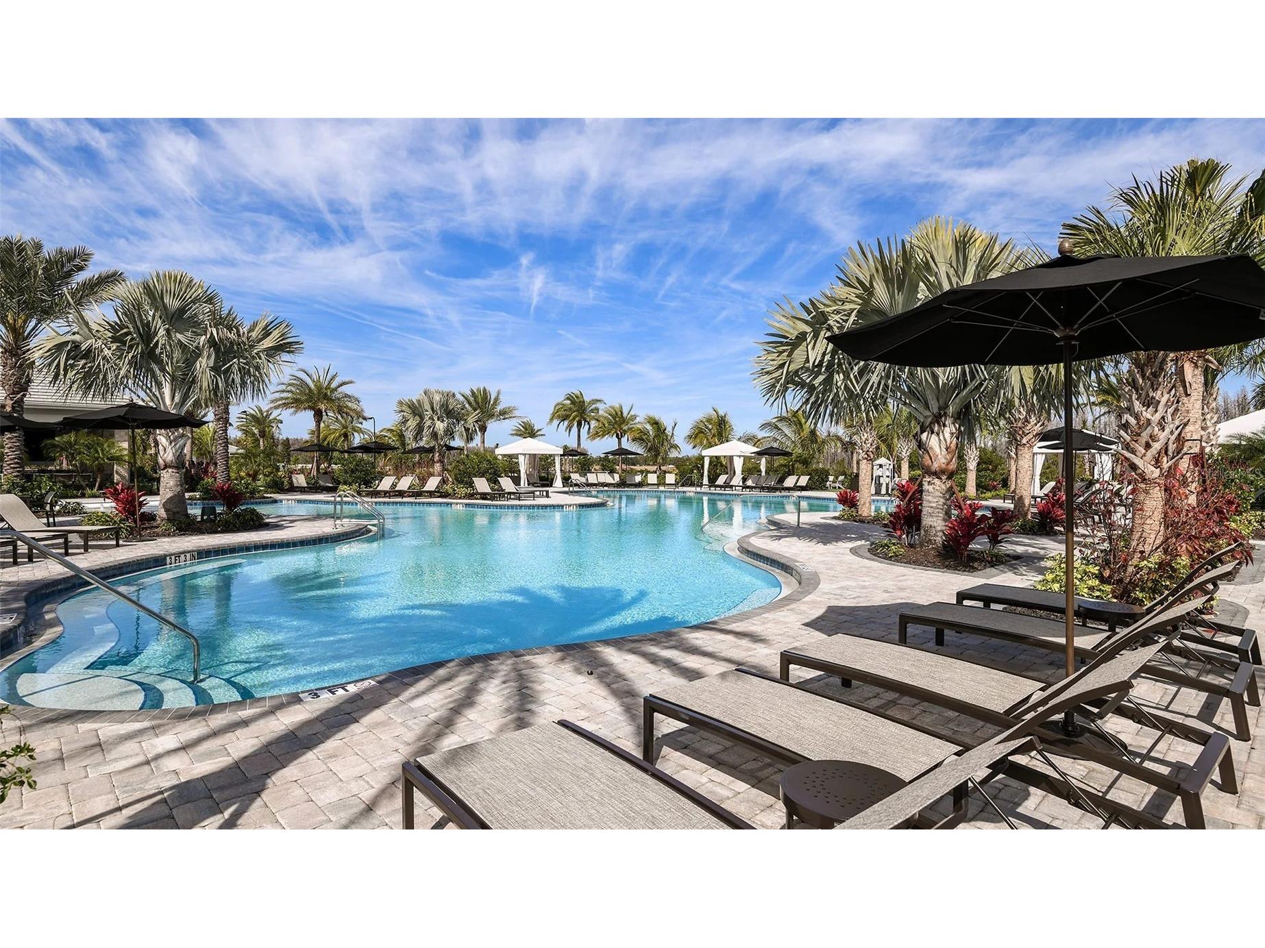 4605 Rosatti Road Wesley Chapel FL 33543 TB8496768 image35