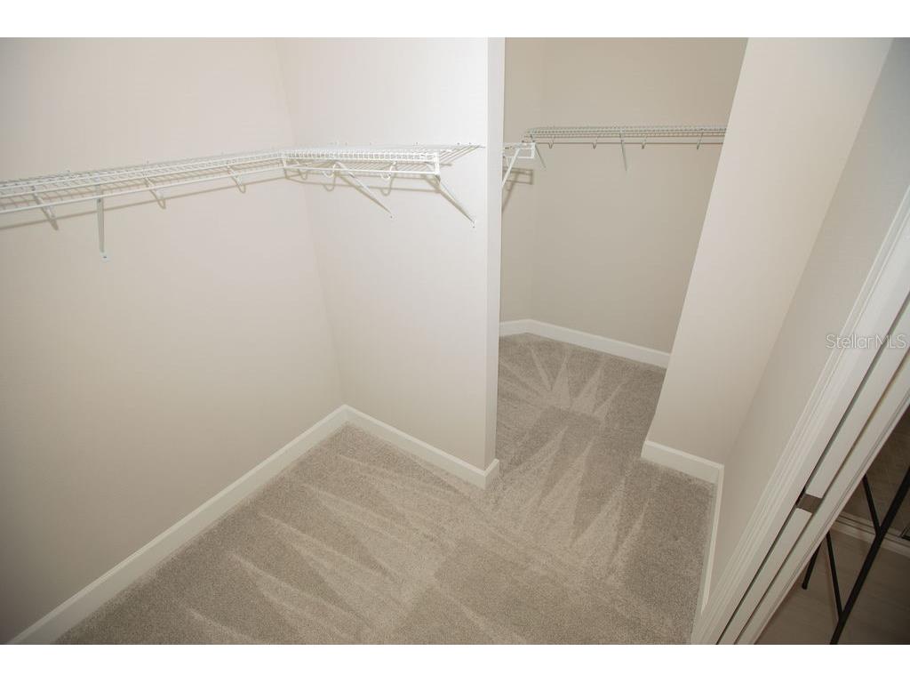 4605 Rosatti Road Wesley Chapel FL 33543 TB8496768 image6