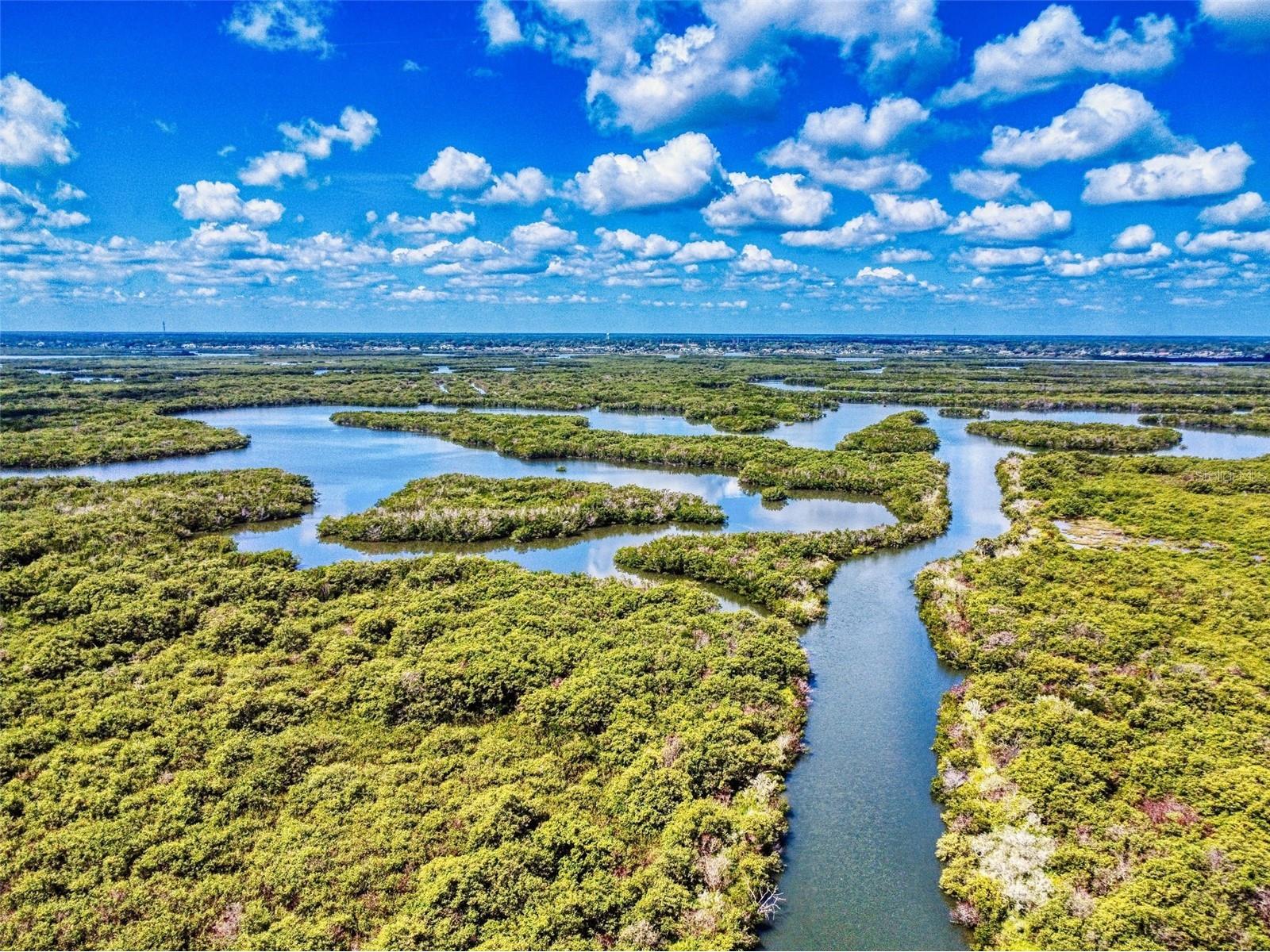 4605 Saxon Drive New Smyrna Beach FL 32169 NS1088142 image42