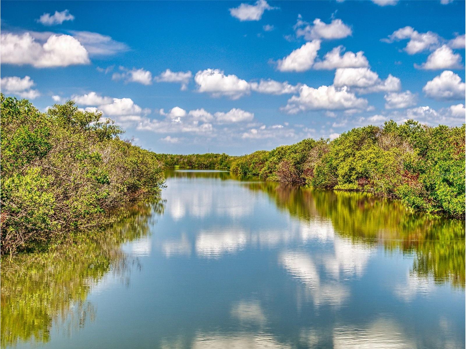 4605 Saxon Drive New Smyrna Beach FL 32169 NS1088142 image44
