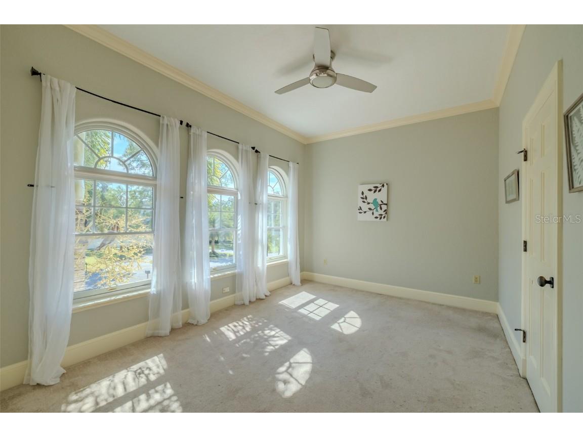 4605 W Vasconia Street Tampa FL 33629 TB8445045 image50