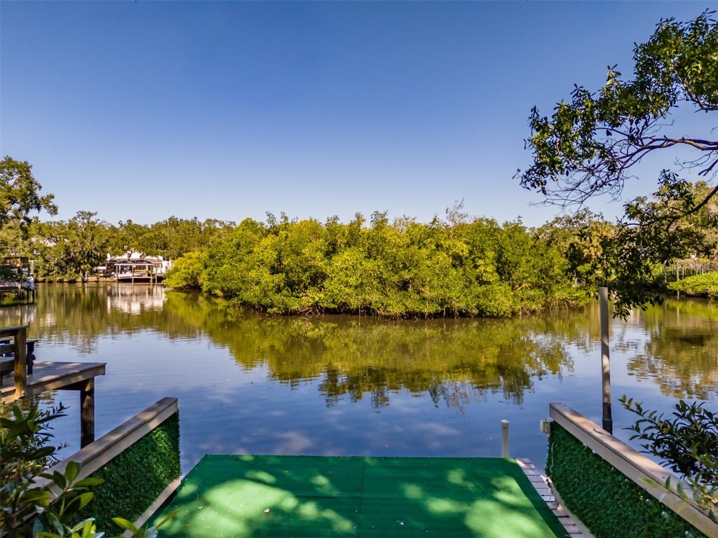 4605 W Vasconia Street Tampa FL 33629 TB8445045 image67