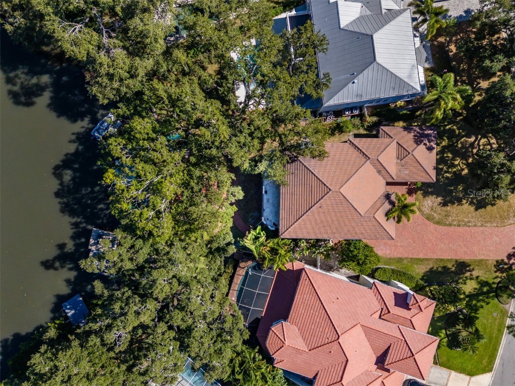 4605 W Vasconia Street Tampa FL 33629 TB8445045 image70