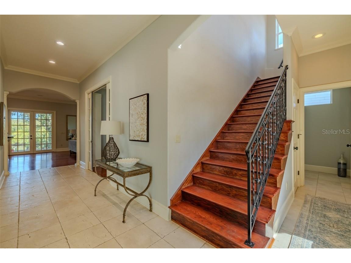 4605 W Vasconia Street Tampa FL 33629 TB8445045 image9