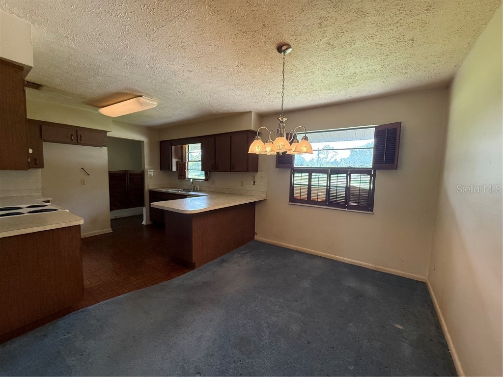 4606 Cantor Drive Wesley Chapel FL 33543 TB8411101 image11