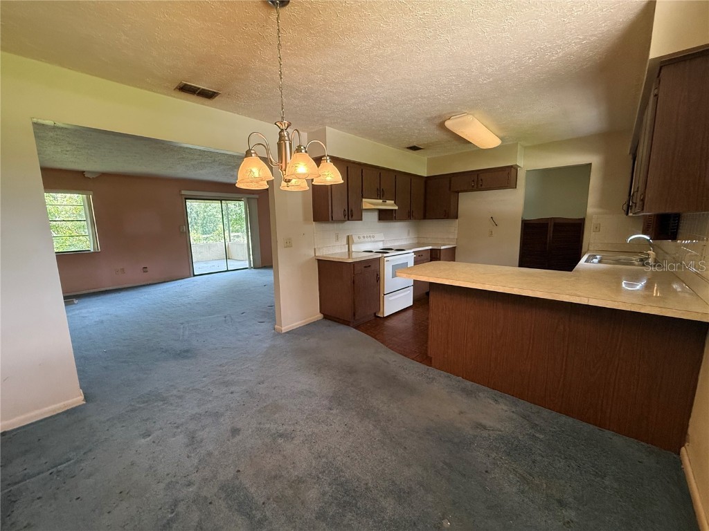 4606 Cantor Drive Wesley Chapel FL 33543 TB8411101 image12