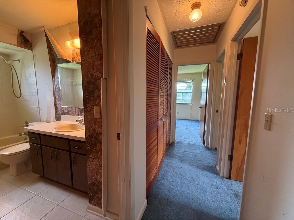 4606 Cantor Drive Wesley Chapel FL 33543 TB8411101 image16