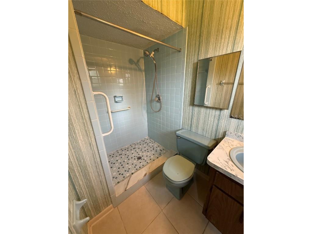 4606 Cantor Drive Wesley Chapel FL 33543 TB8411101 image24