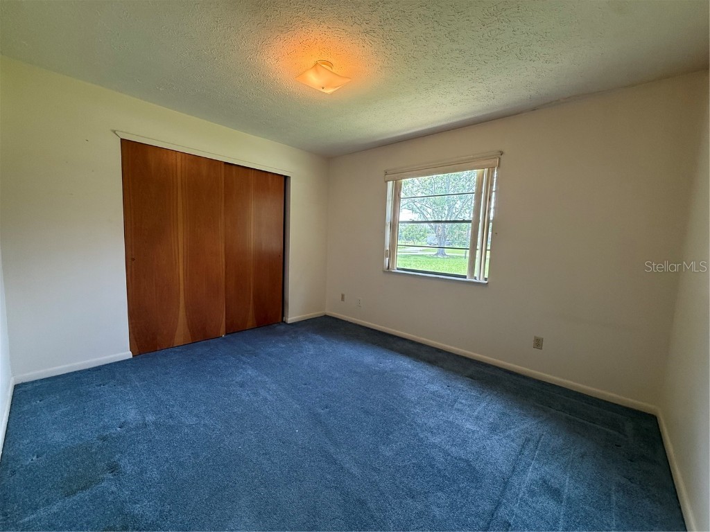 4606 Cantor Drive Wesley Chapel FL 33543 TB8411101 image26