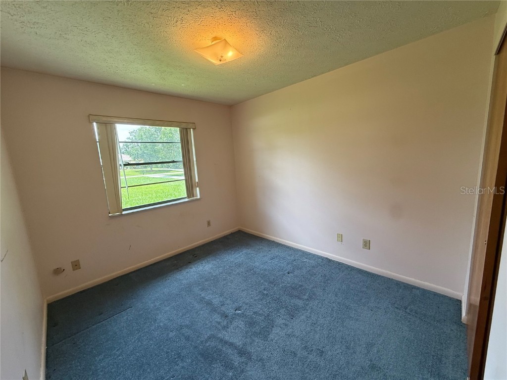 4606 Cantor Drive Wesley Chapel FL 33543 TB8411101 image29