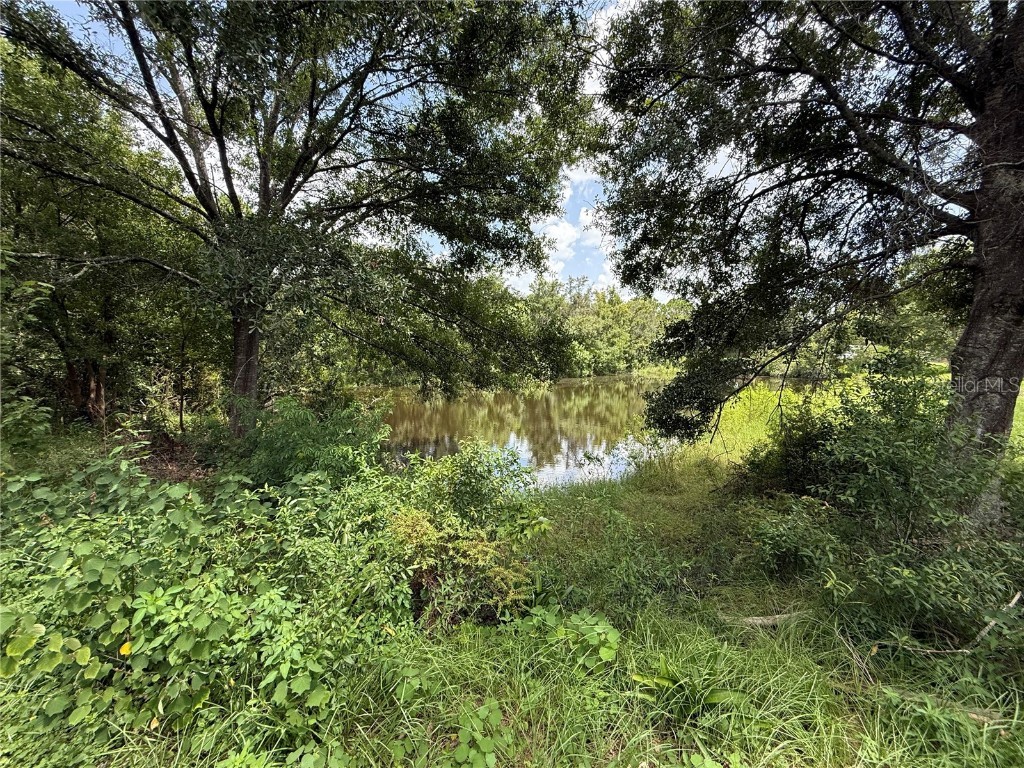 4606 Cantor Drive Wesley Chapel FL 33543 TB8411101 image39