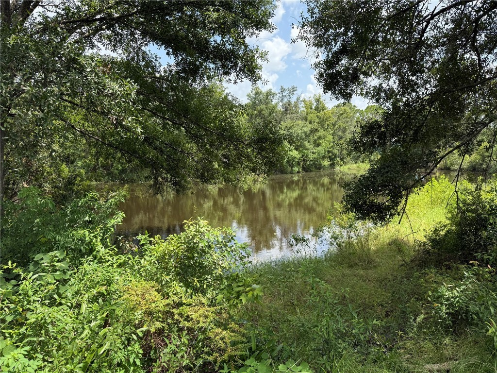 4606 Cantor Drive Wesley Chapel FL 33543 TB8411101 image40