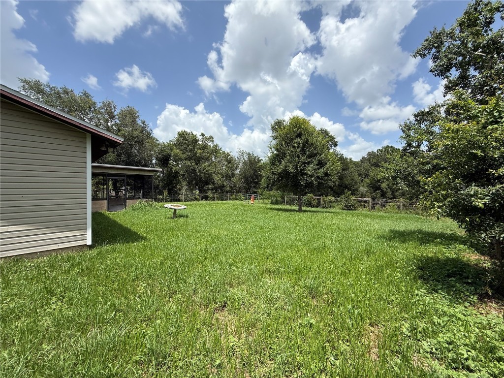 4606 Cantor Drive Wesley Chapel FL 33543 TB8411101 image42