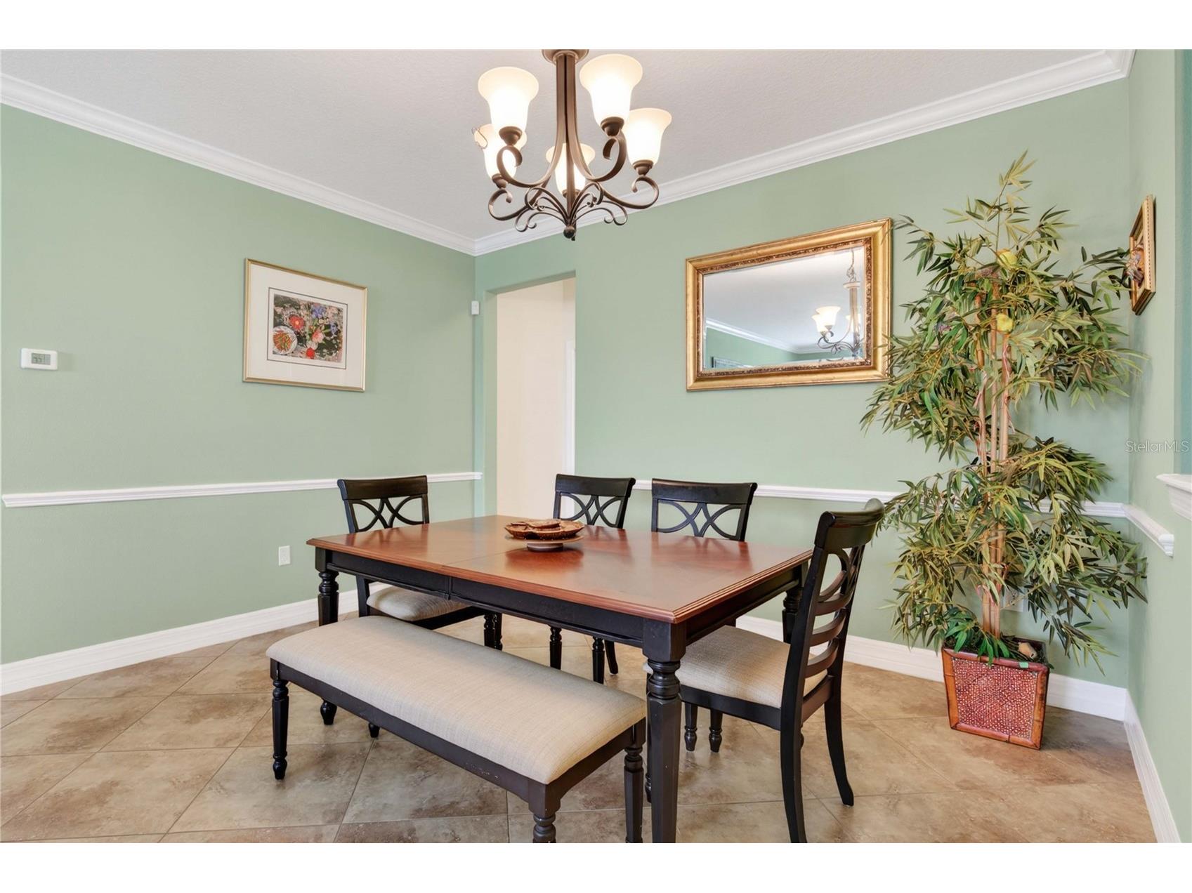 4606 Coppola Drive Mount Dora FL 32757 O6415792 image10