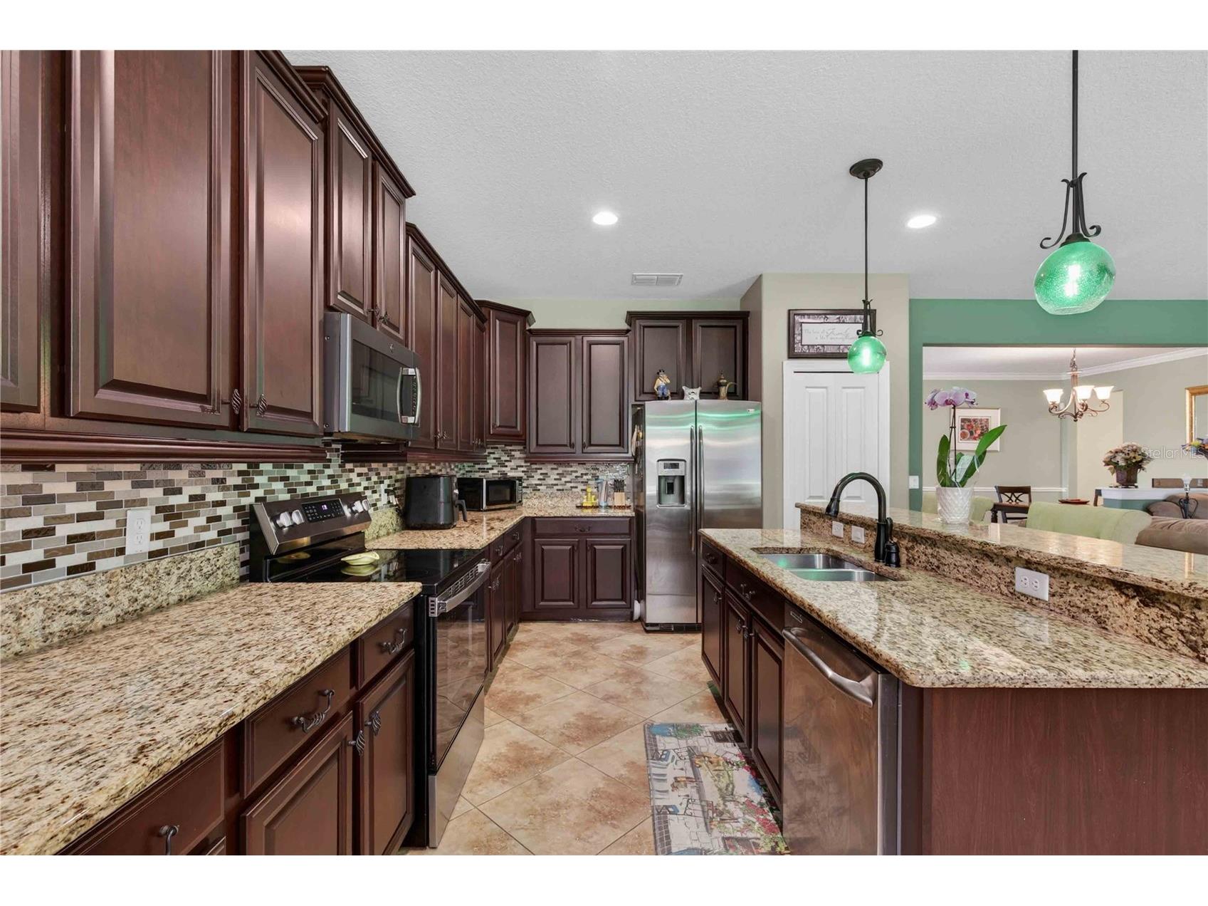 4606 Coppola Drive Mount Dora FL 32757 O6415792 image14