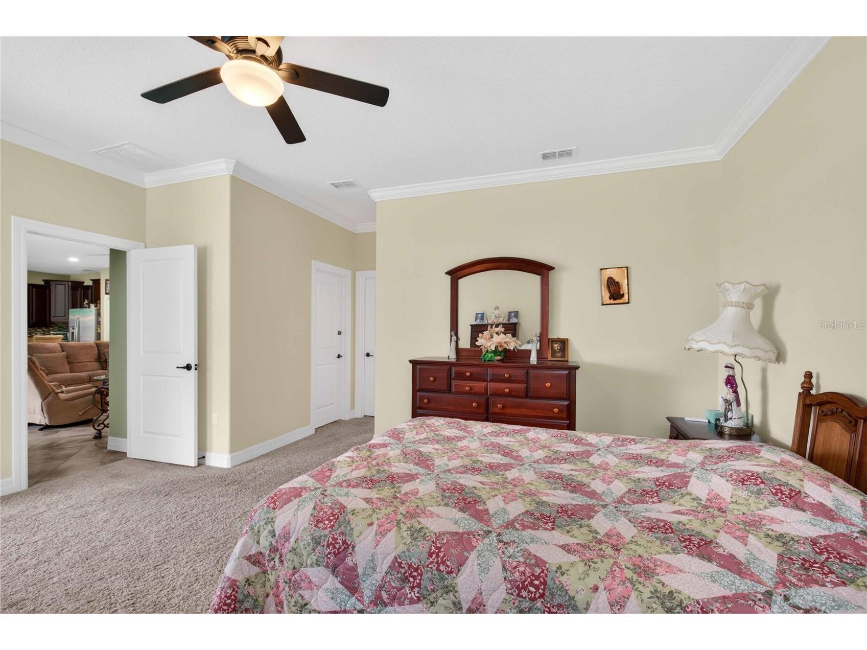 4606 Coppola Drive Mount Dora FL 32757 O6415792 image19