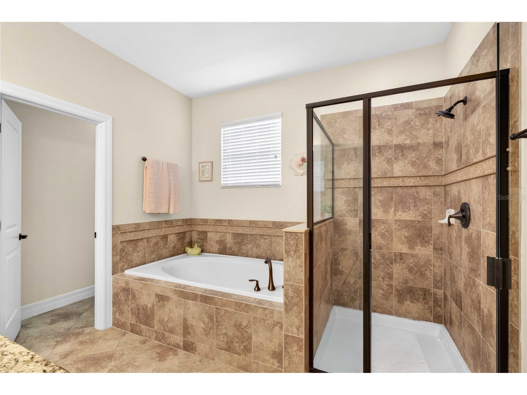 4606 Coppola Drive Mount Dora FL 32757 O6415792 image20
