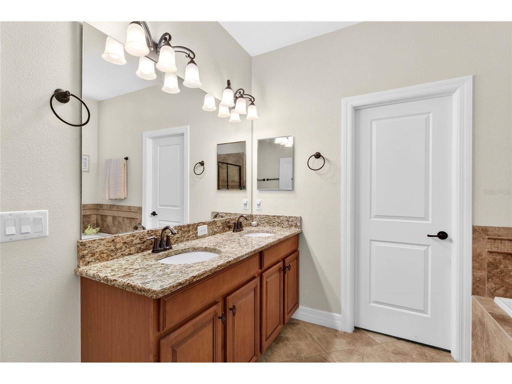4606 Coppola Drive Mount Dora FL 32757 O6415792 image21