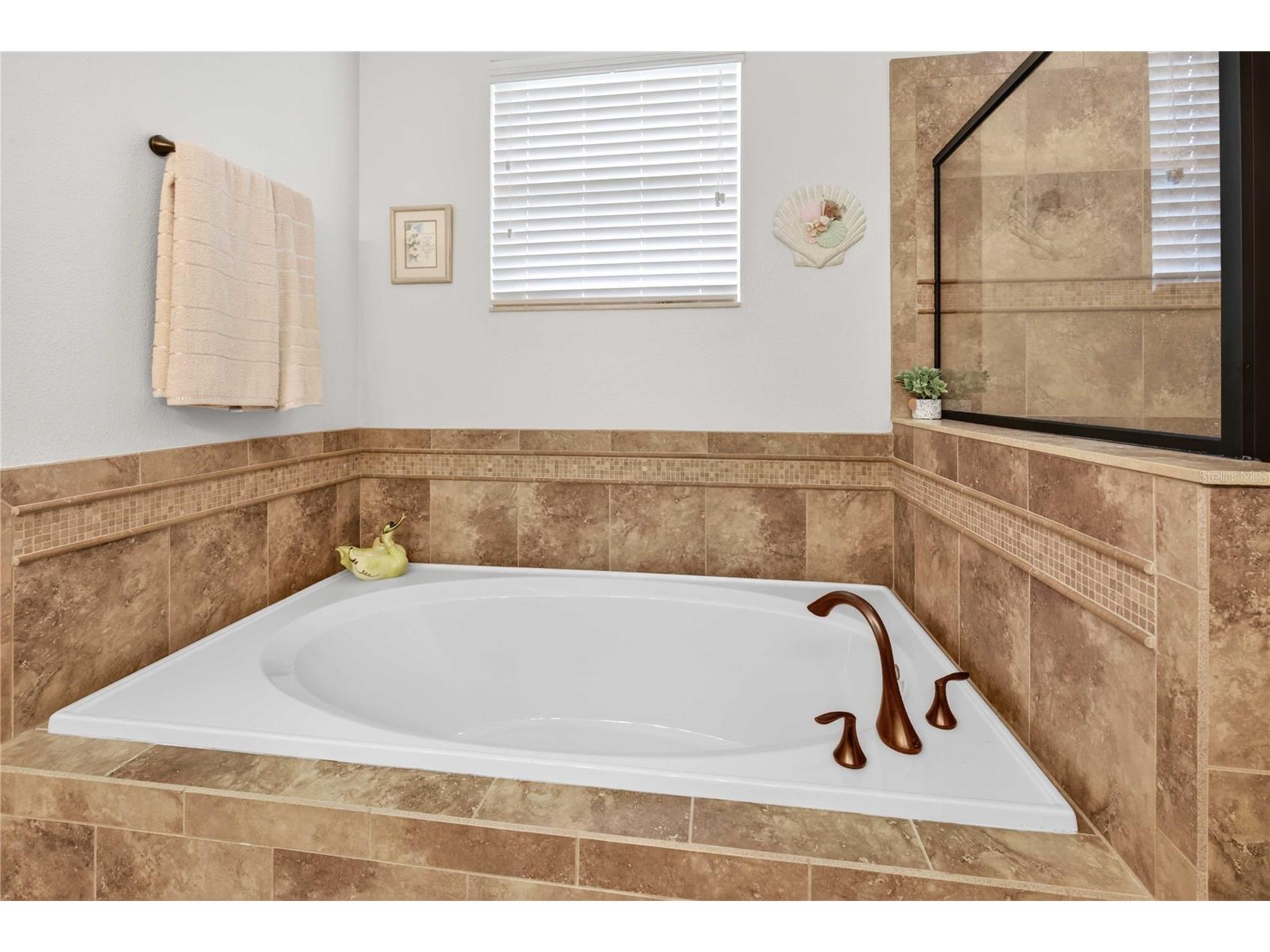 4606 Coppola Drive Mount Dora FL 32757 O6415792 image22